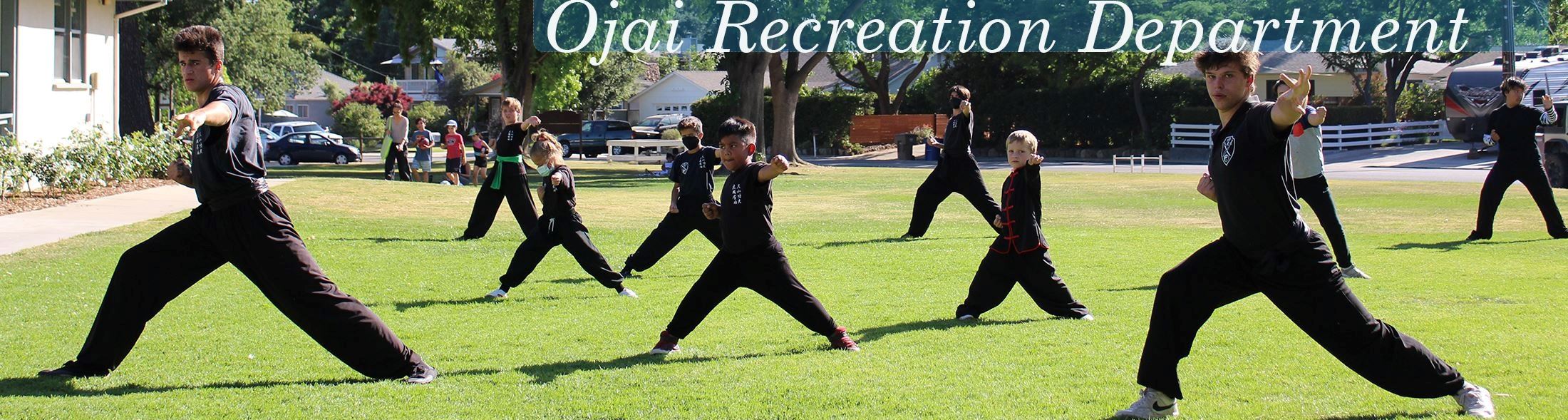 Martial Arts Rec Banner